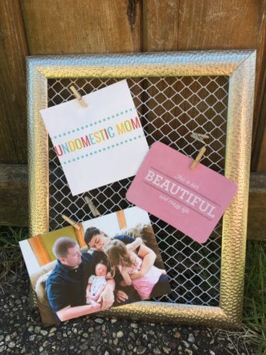a beautiful Dollar Tree gift: chicken wire frame
