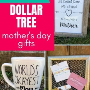 Easy Diy Dollar Tree Gift Ideas For The Special Mom In Your Life