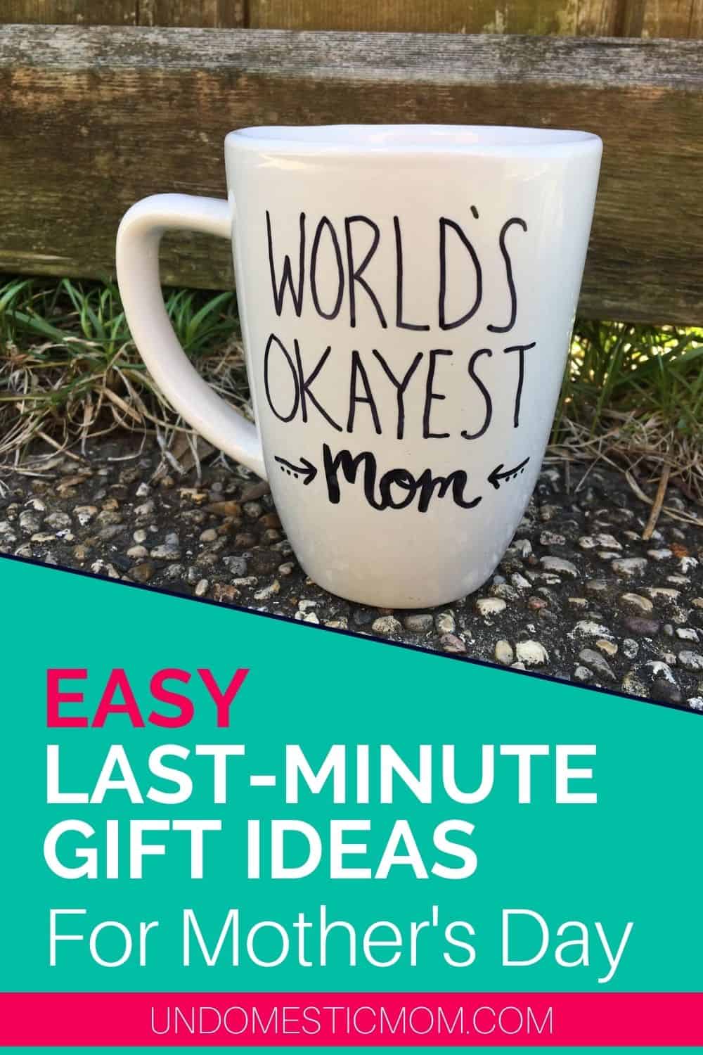 Easy DIY Dollar Tree Gift Ideas for the Special Mom in Your Life