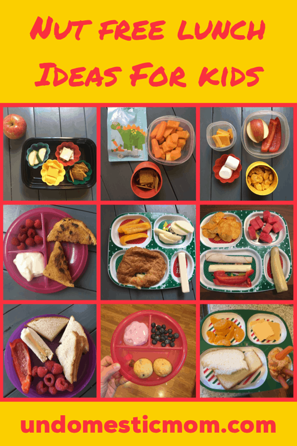 Nut Free Lunch Ideas for Kids - Undomestic Mom