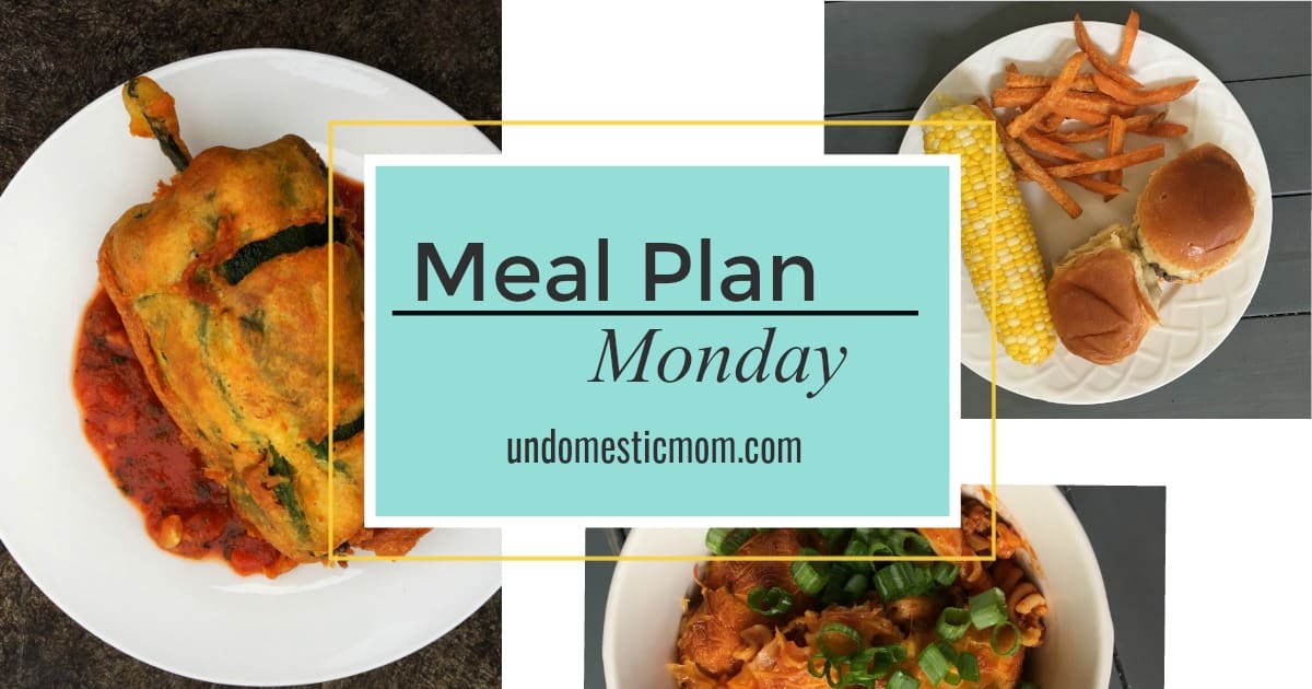 $100 Aldi Meal Plan: Meal Plan Monday - Undomestic Mom