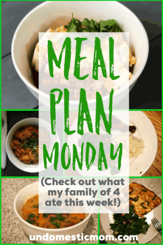 pictures of a meal plan