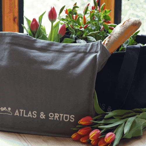Ways to Reduce Waste: Reusable Grocery Bags