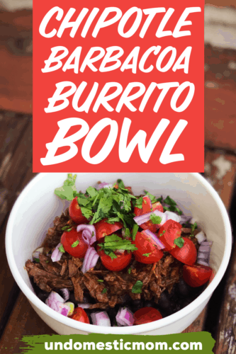 Chipotle Barbacoa Burrito Bowl - Undomestic Mom