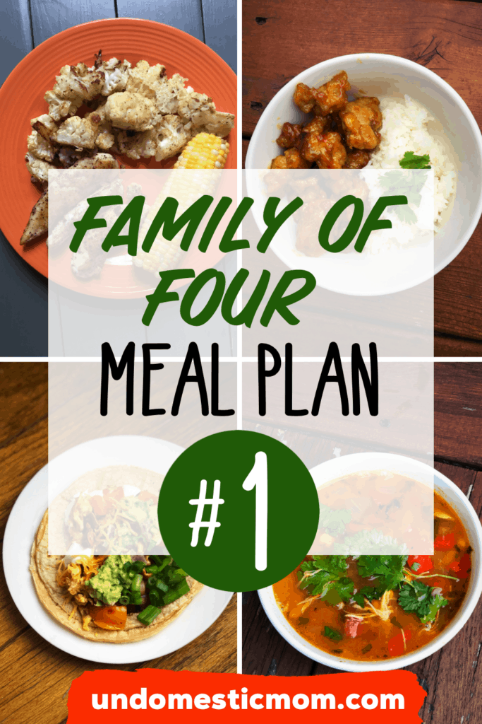 Family Meal Plan & Grocery Haul: Week 1 - Undomestic Mom