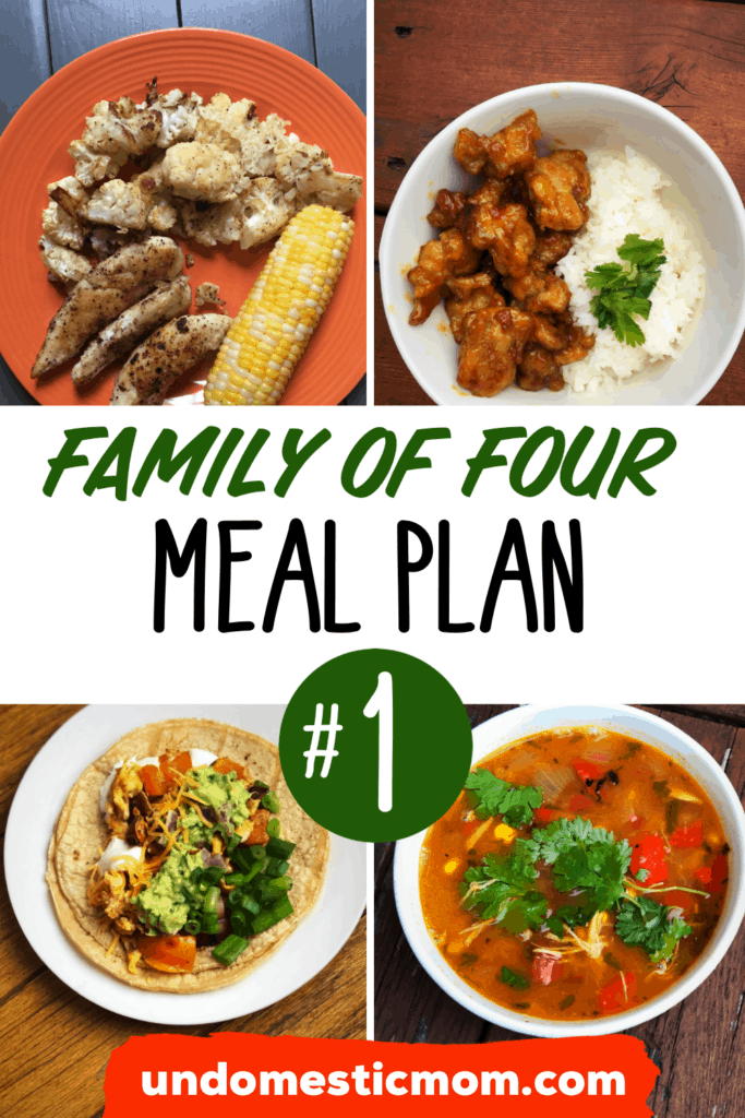 Family Meal Plan & Grocery Haul: Week 1 - Undomestic Mom