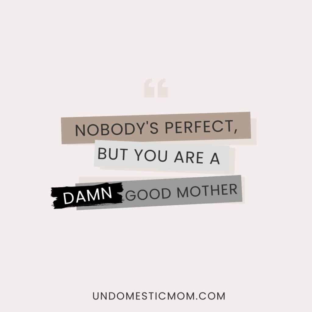 graphic that says 'nobody's perfect but you are a damn good mother'