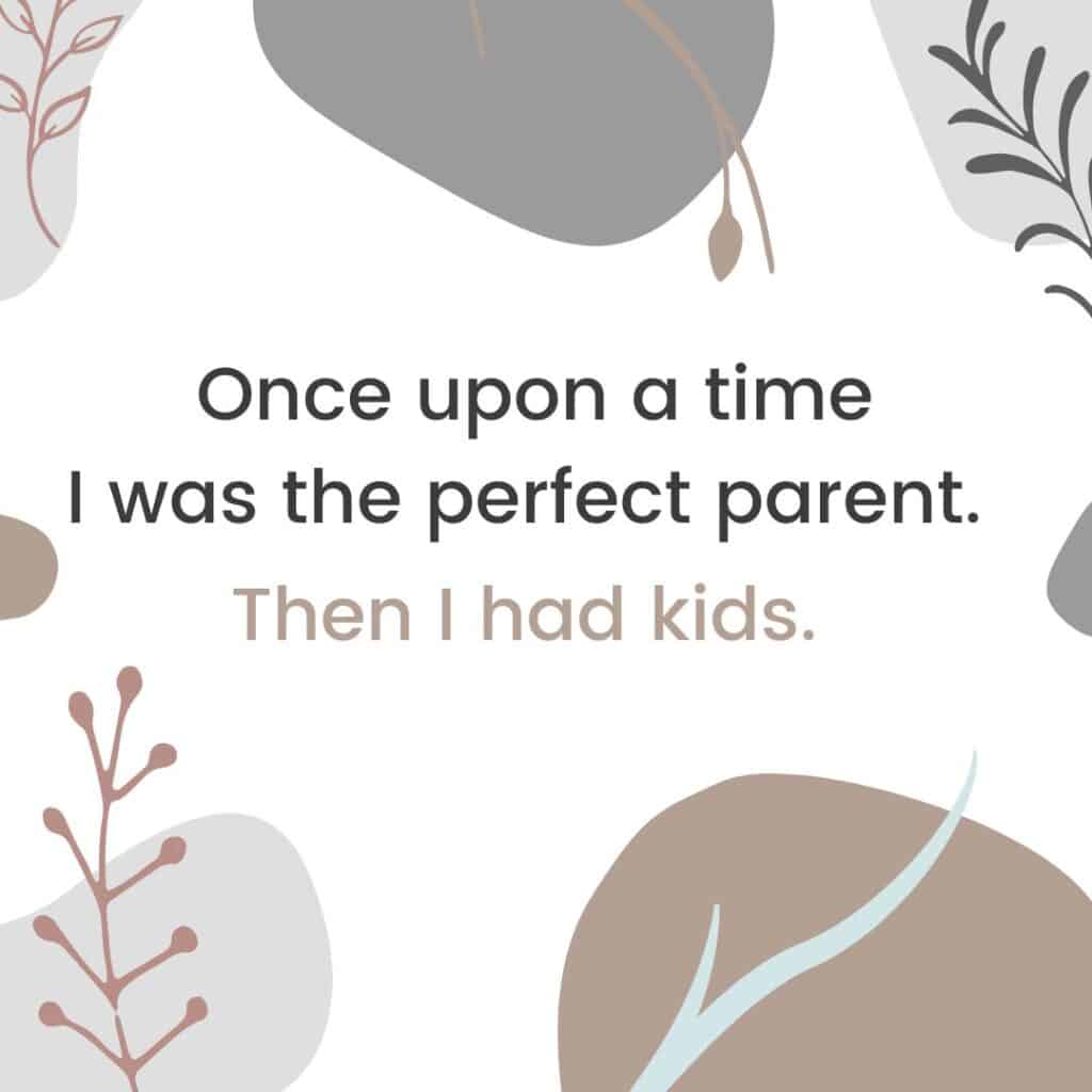 graphic that says "once upon a time i was a perfect parent. then i had kids."